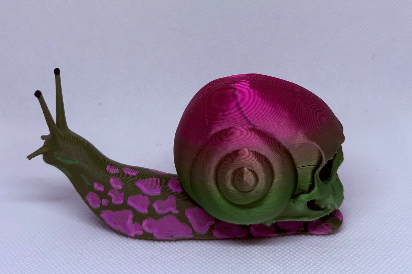 Skull Snail