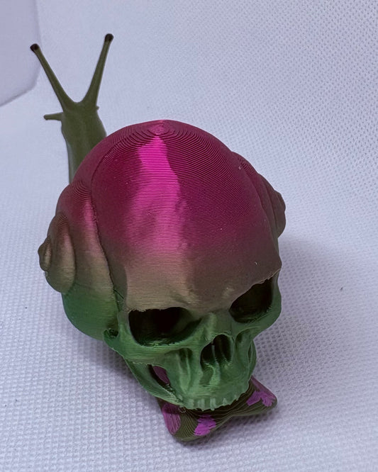 Skull Snail