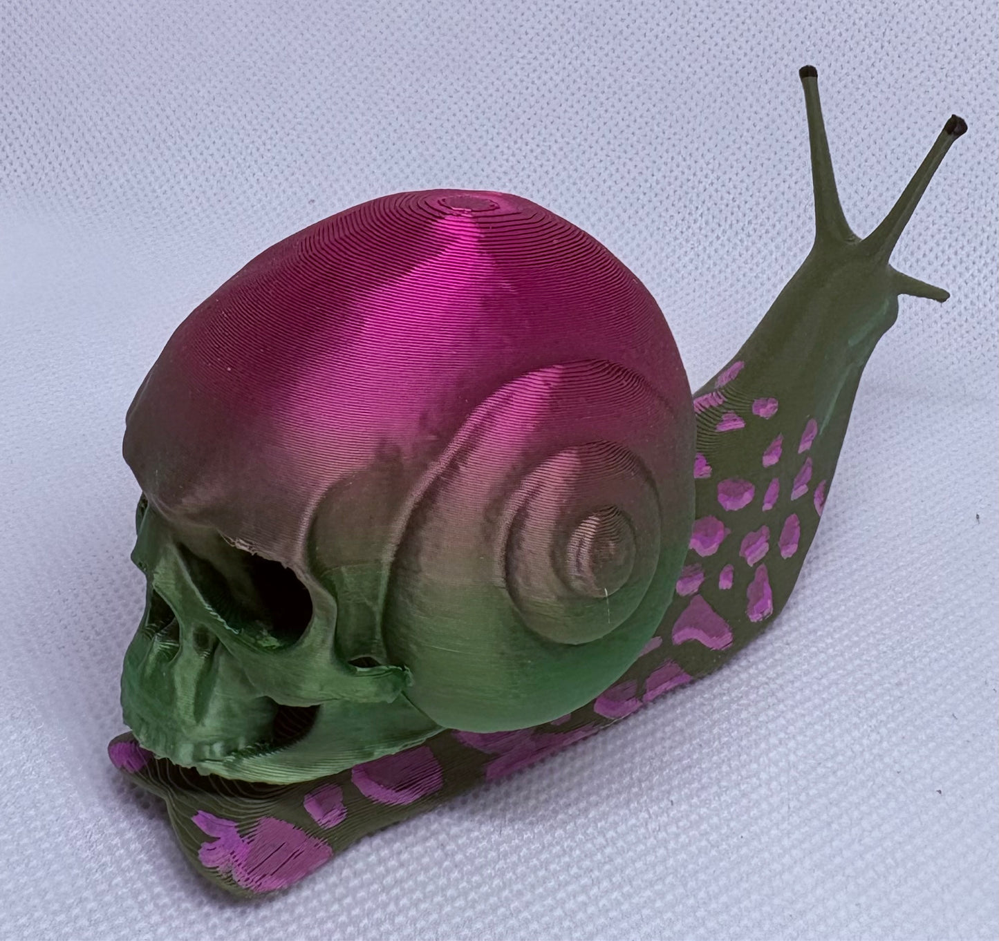Skull Snail